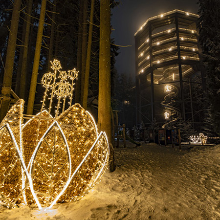 Magická Stezka korunami stromů Lipno