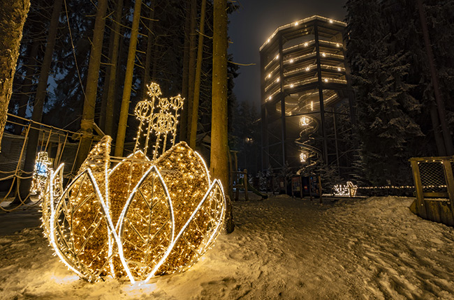 Magicky osvětlená Stezka korunami stromů Lipno Magicky osvětlená Stezka korunami stromů Lipno