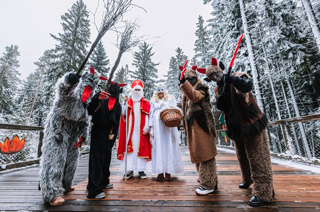 Magicky osvětlená Stezka korunami stromů Lipno Magicky osvětlená Stezka korunami stromů Lipno